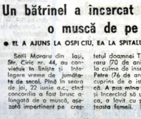 A omorât, cu toporul, musca de pe capul soției | MEMORIA EVZ
