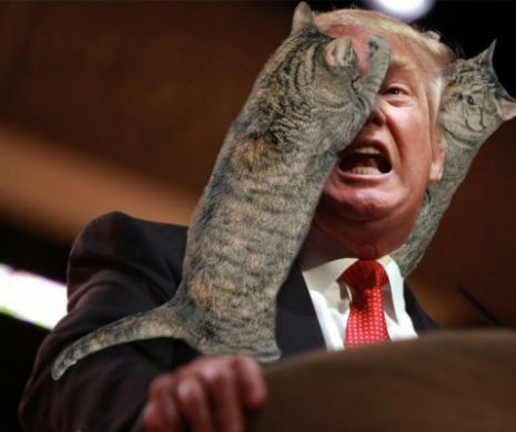 Analiză ALTFEL despre Trump: Arogant, infantil, lunatic, vulgar, bolnav de putere, se crede eroul din "Citizen Kane"