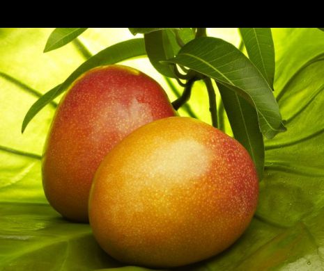 Cu cât s-a vândut cea mai SCUMPĂ pereche de MANGO