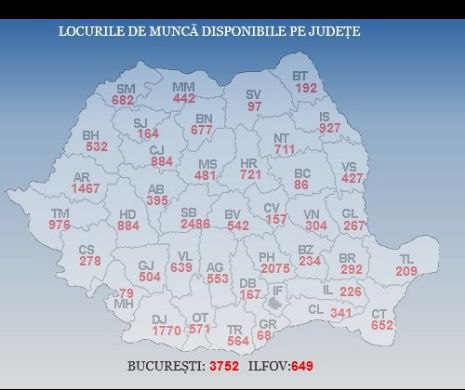 Ești în căutarea unui loc de muncă? Află aici unde îți poți găsi un job!