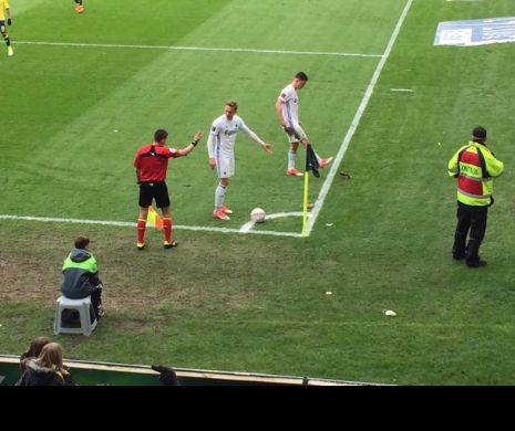 Incident ȘOCANT pe stadion! Fotbaliștii, atacați cu ȘOBOLANI MORȚI