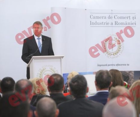 Iohannis, în dialog cu reprezentanții mediului de afaceri