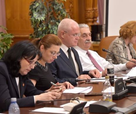 Legea privind executarea pedepselor şi a măsurilor privative de libertate, pe ordinea de zi a Comisiei juridice