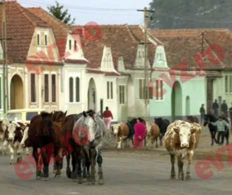 Micii agricultori vor fi scutiți de plata impozitului pe venit