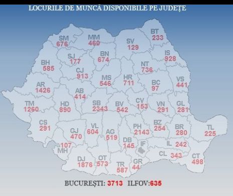 Nu ai loc de muncă? Află ce job-uri vacante sunt în țară
