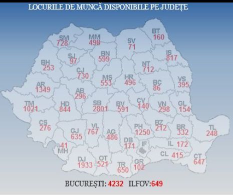 Nu ai loc de muncă? Află ce joburi sunt vacante în toată țara!