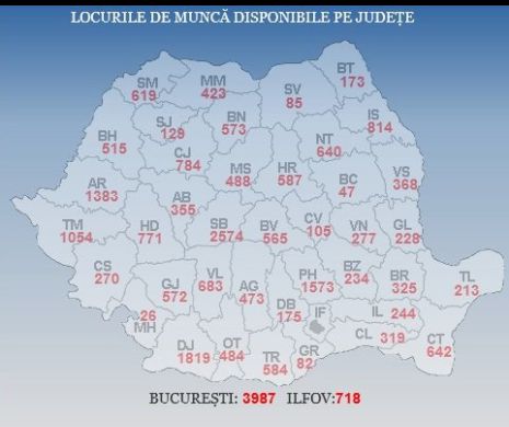 Nu ai loc de muncă? Află unde poți găsi un job în țară