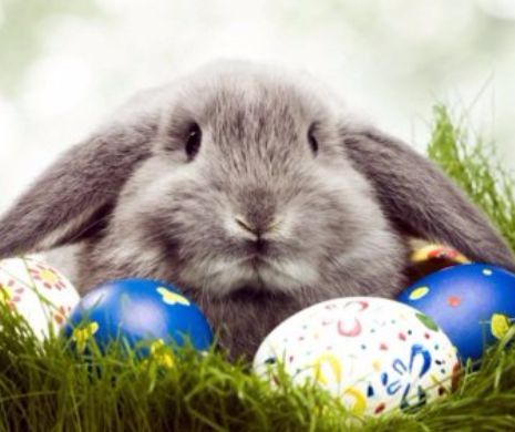 PAŞTELE şi perioada POSTULUI care îl precede