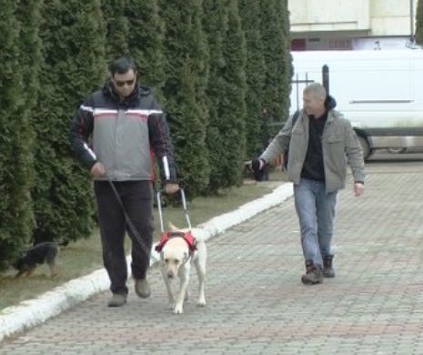 Poliţia ANCHETEAZĂ CAZUL ŞOCANT al unui nevăzător ARUNCAT din autobuz