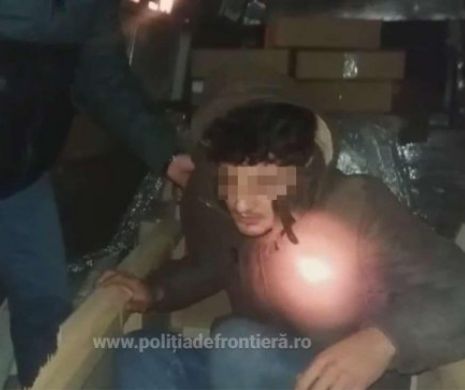 REȚEA de CĂLUZE din Bulgaria descoperită de polițiștii români
