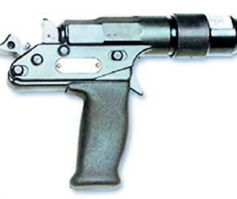 Româncă ucisă cu un pistol de asomat porcii