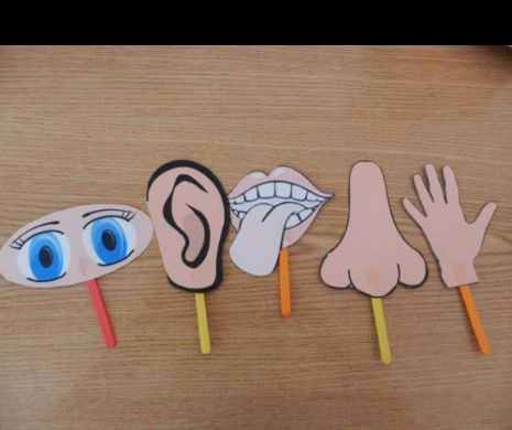 Trepidanta viata moderna ne altereaza simturile?