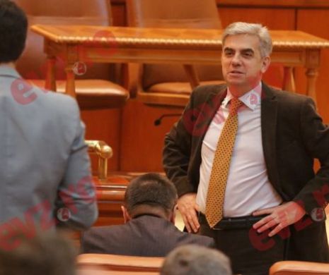 Aviz favorabil pentru Nicolăescu