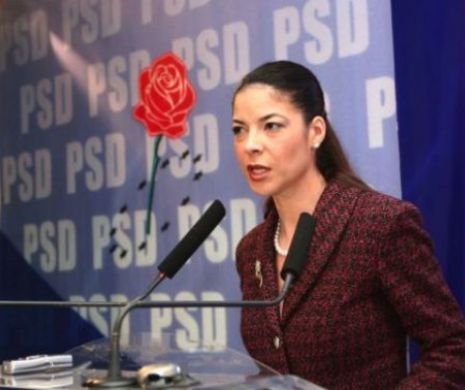 Birchall: „Alegerile din Franţa şi Germania nu vor pune sub semnul întrebării proiectul UE”