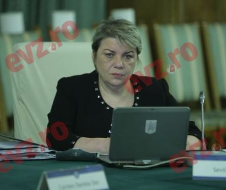 Ce vrea să cumpere Sevil Shhaideh pentru Ministerul Dezvoltării cu peste 22.000 lei