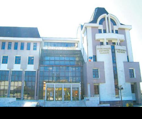 Cozonaci, sarmale și salată de boeuf, pentru doamna judecătoare | Dosarul porcul și tortul. Episodul 1