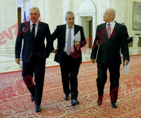 Două PROPUNERI pentru comisia de anchetă privind alegerile prezidențiale din 2009