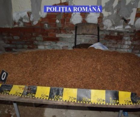 FABRICĂ ILEGALĂ de TUTUN într-un SUBSOL de bloc din CAPITALĂ