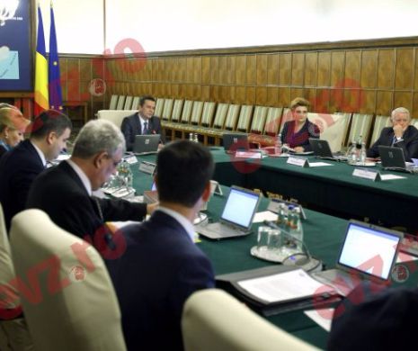 Guvernul a introdus „cartonaşul galben” pentru firme. 90 de zile de graţie pentru afacerişti
