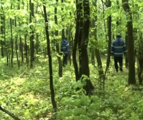 Hansel și Gretel în județul Buzău. Un tată și-a dus copiii în pădure și a fost scos de acolo cu jandarmii
