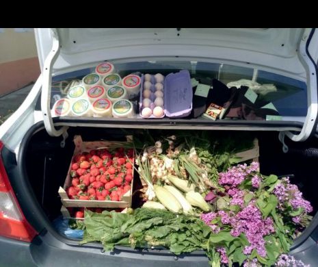 Imagini şocante. Nu mai cumpăraţi de pe stradă alimente dacă le vedeţi