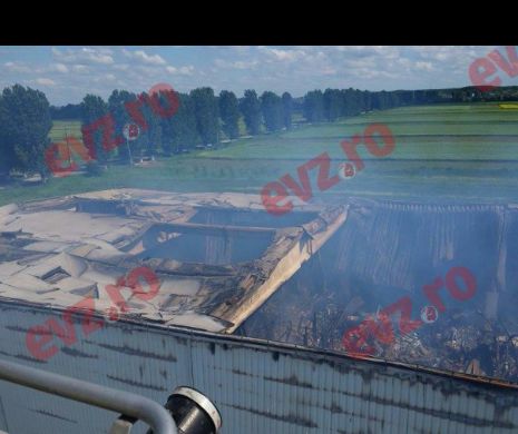 INCENDIU major lîngă București. A luat FOC un depozit al ARHIVELOR