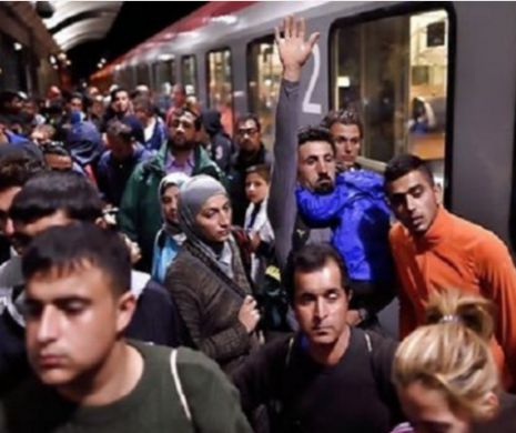 Le-a ajuns CUȚITUL la OS: Suedia, COPLEȘITĂ de imigrație, Danemarca SFIDEAZĂ Uniunea Europeană