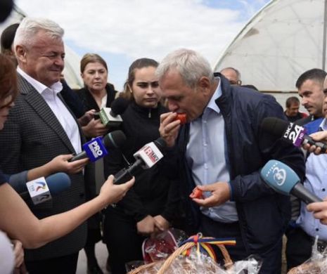 Liviu Dragnea se încălzește pentru președinție