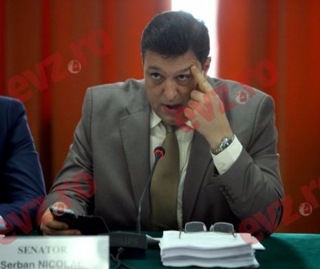 Nicolae, după pierderea funcțiilor în Parlament: N-am greșit față de Dragnea sau PSD