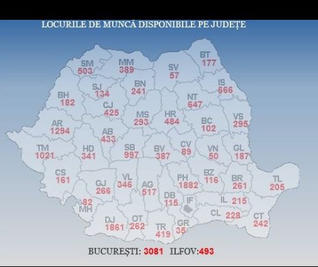 Nu ai un loc de muncă? Află unde poți să-ți găsești un job bun!
