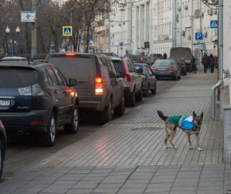 Parcarea de reşedinţă ar putea deveni un lux. Un primar propune TAXA uriaşă