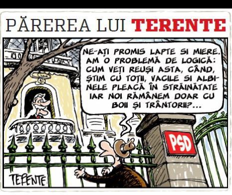 Parerea lui Terente 29.05.2017