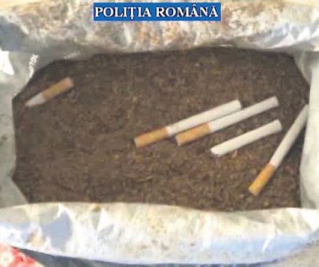 Rețeaua care fabrica țigări „made in Bucov” le vindea ciobanilor din cinci județe