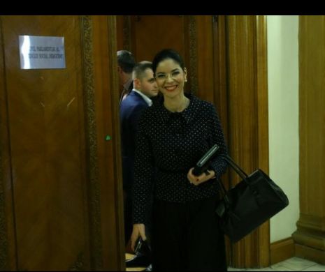 S-a găsit soluția pentru sediul de la Bruxelles necesar activităţilor României. VEZI anunțul făcut de Ana Birchall