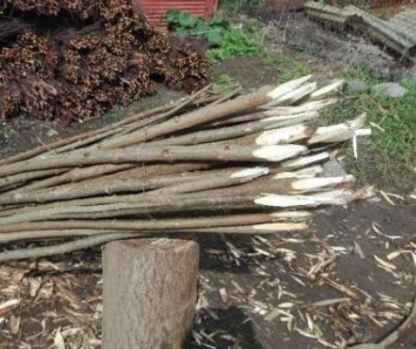 ȘOCANT! Copil în STARE FOARTE GRAVĂ, după ce a căzut într-un țăruș din curtea casei