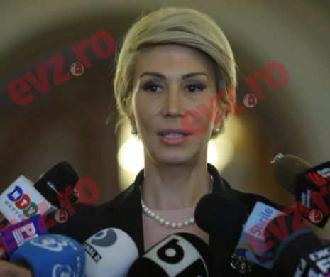 Turcan, despre decizia CCR: Am depășit un hop. dar PSD-ALDE continuă campania în favoarea corupților