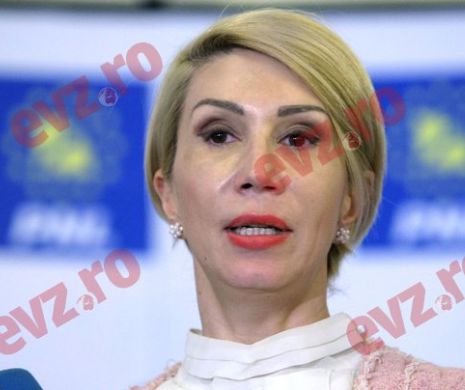 Turcan: PNL a depus 150 de amendamente la LEGEA SALARIZĂRII