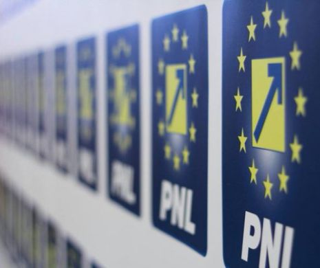 Turcan: PNL se apropie de un secol și jumătate de viață și, cu toate astea, continuă să întinerească