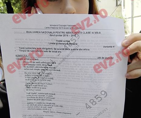 A început Evaluarea Națională! Liricul, bată-l vina! O poezie-surpriză le-a luat piuitul elevilor