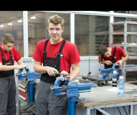 Angajatorii primesc bani pentru ucenicie