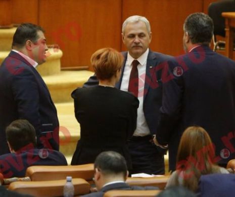 BOMBA SERII. Cine îl va înlocui pe Grindeanu? Persoana care ar putea să scrie ISTORIE