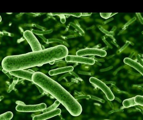 DESCOPERIRE BOMBĂ! ANTIBIOTIC eficient împotriva BACTERIILOR REZISTENTE