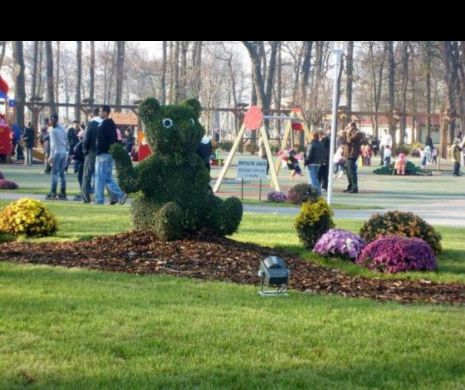 Descoperirea care a ȘOCAT Craiova! Ce a găsit un bărbat lângă un loc de joacă pentru copii