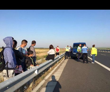 Accident cu bulgari pe A1 I FOTO