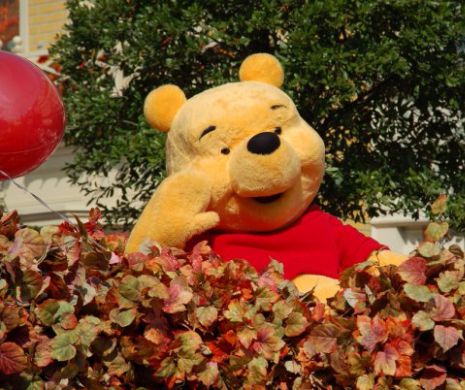 Află în ce țară a devenit Ursulețul Winnie PERSONA NON GRATA