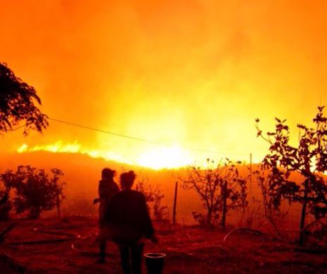 Canada e în stare de URGENȚĂ. Incendiile au făcut prăpăd. 3000 de locuințe au fost EVACUATE - VIDEO