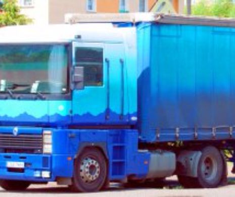 CAPTURĂ record de MARIJUANA la Calafat