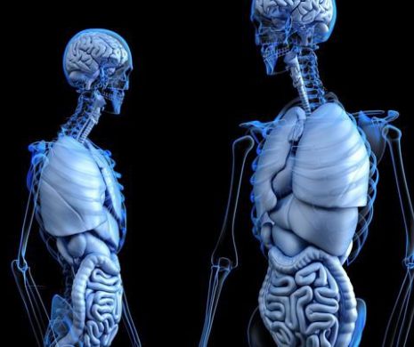 Carcinomul hepatocelular este cel mai des întâlnit tip de cancer hepatic. Uite care persoane sunt vizate de acest cancer galopant