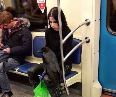 Cei mai DUBIOȘI oameni văzuți vreodată la METROU. Imaginila care te vor face să uiți de probleme - Foto Galerie AMUZANTĂ