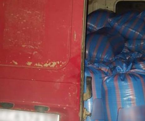 Cernavodă: 4 bărbați, prinși de jandarmi, în timp ce furau peste 1800 kg semințe rapiță
